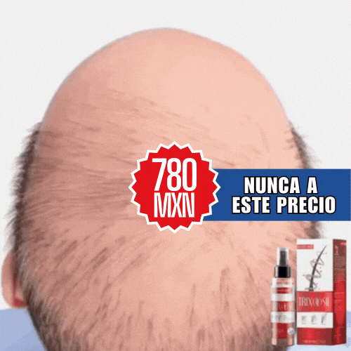 Titolo-21.gif